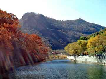 澳门二四六天天免费好材料，天津排水板